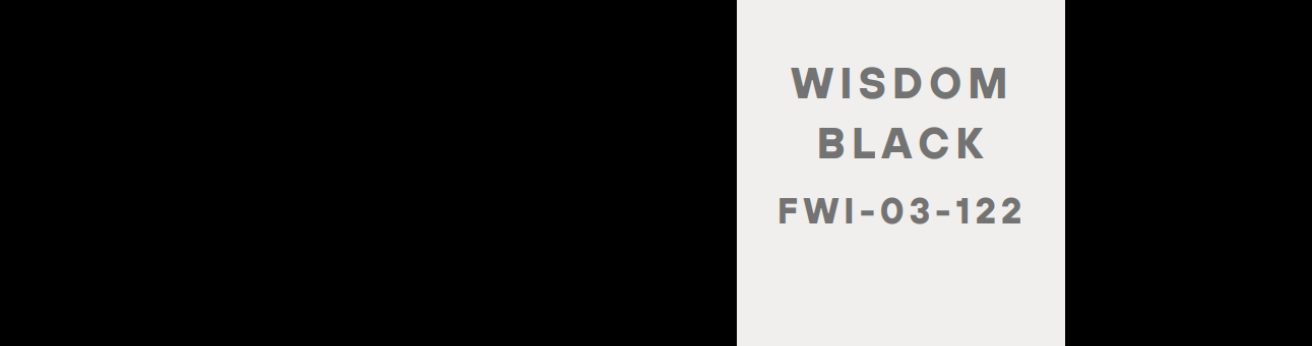 WISDOM BLACK Lami Gloss Panel